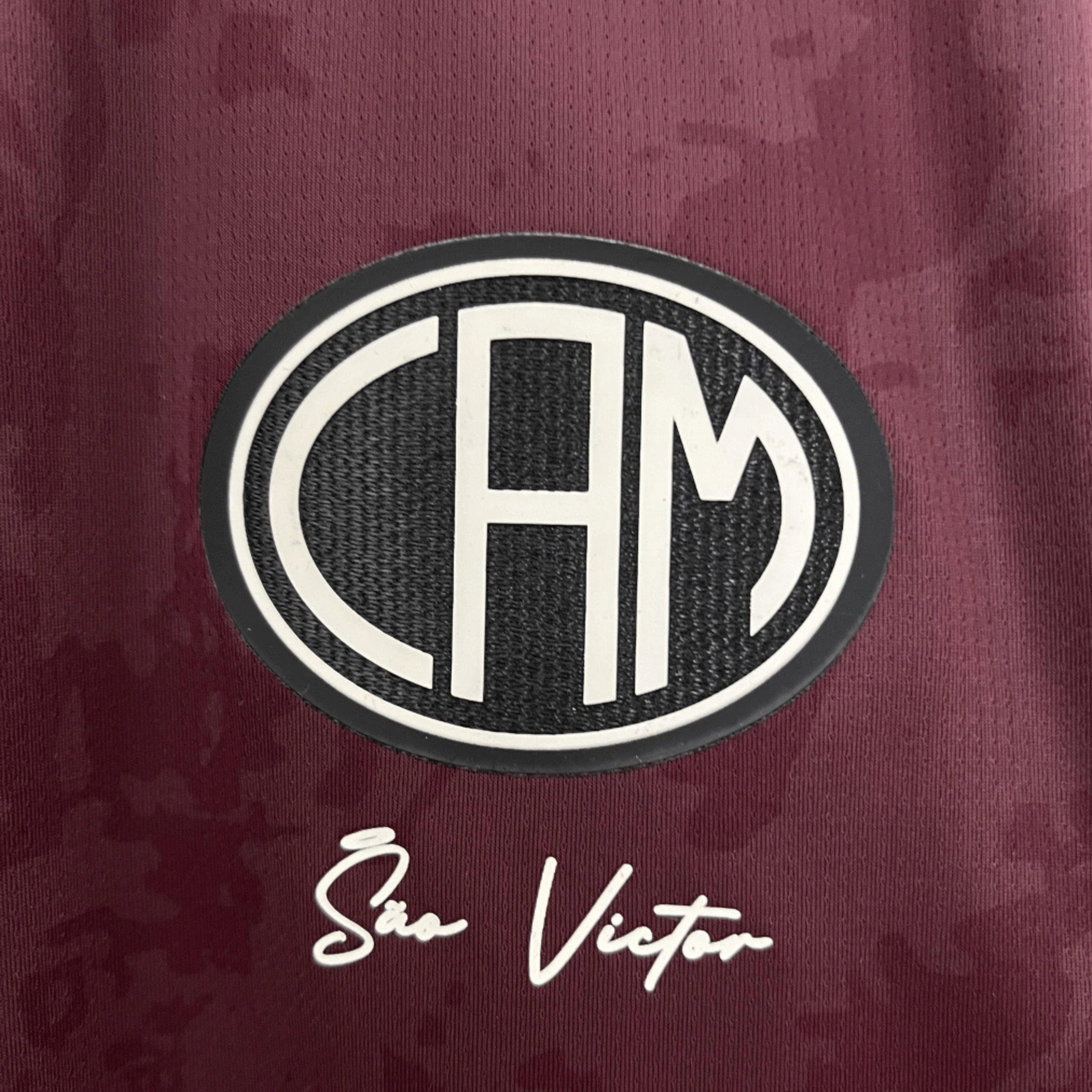 Camisa Atlテゥtico Mineiro Manto da Massa 24/25