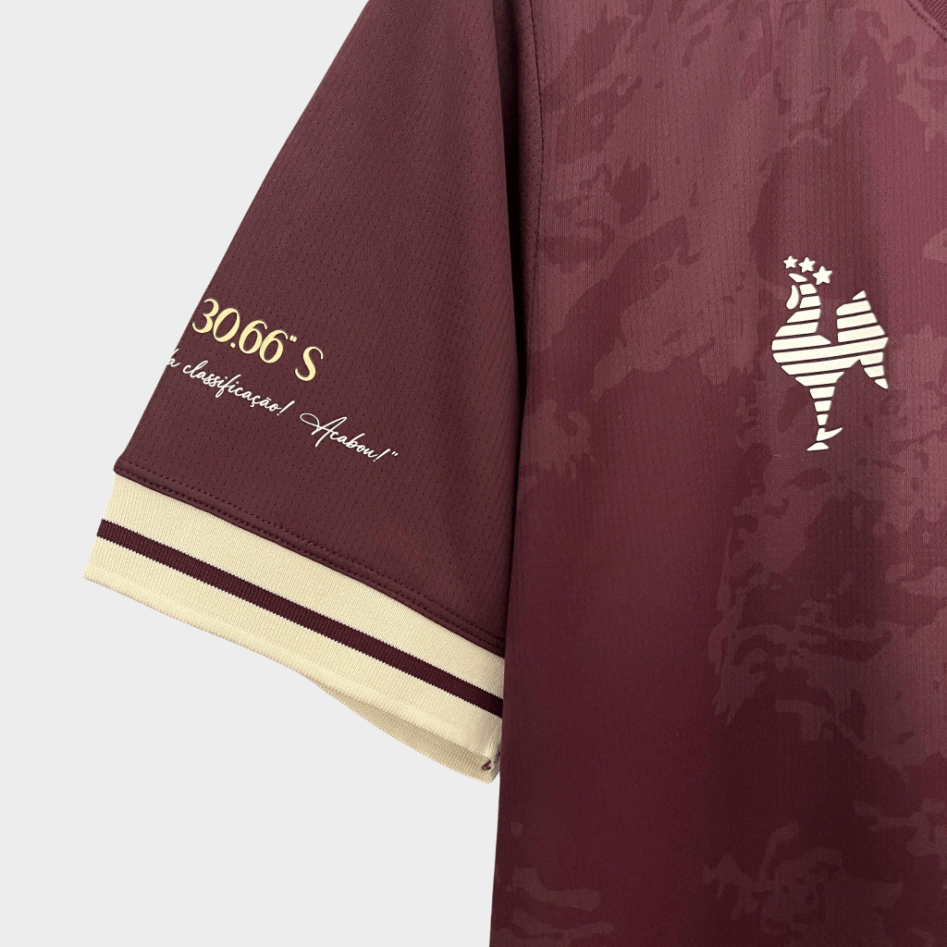 Camisa Atlテゥtico Mineiro Manto da Massa 24/25